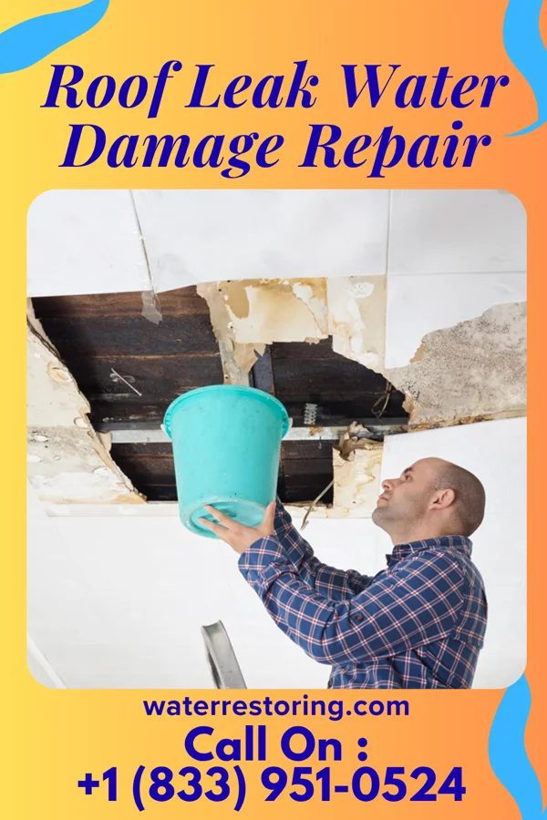 Roof Leak Water Damage Repair in Vanderbilt, PA