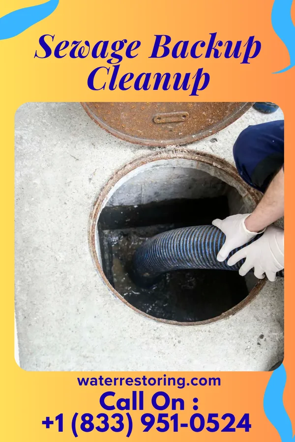 Sewage Backup Cleanup in Vanderbilt, PA